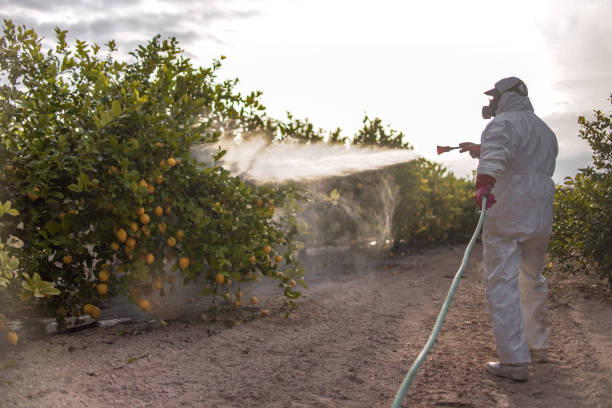 Best Pest Removal Services  in La Follette, TN