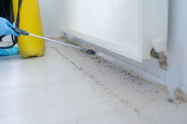 Best Emergency Pest Control  in La Follette, TN